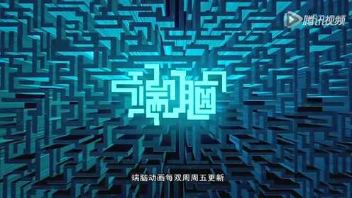 端脑 12集