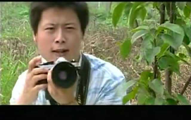 谁为我心动 16集