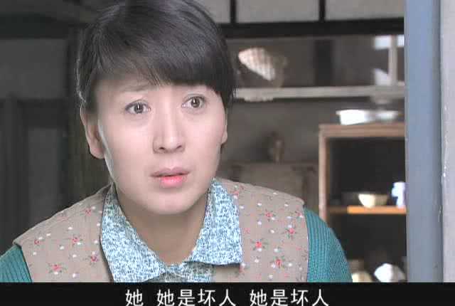 小姨多鹤 29集