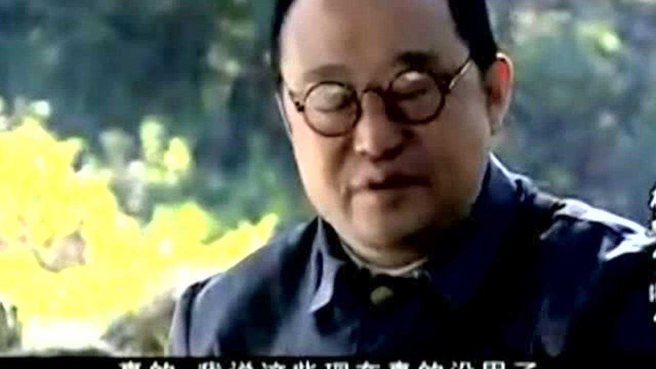 杨靖宇将军 17集