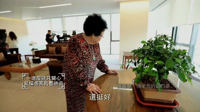 陈鲁豫参观富华国际集团办公大楼,陈丽华儿子儿媳现身接待