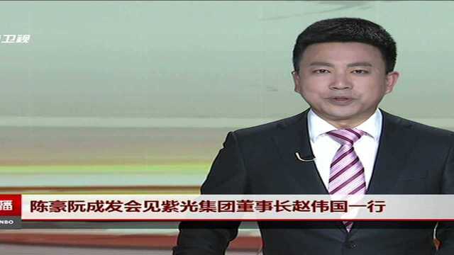 陈豪阮成发会见紫光集团董事长赵伟国一行