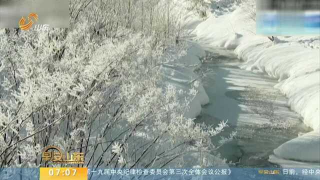 日本北海道持续低温 现“钻石尘”奇景