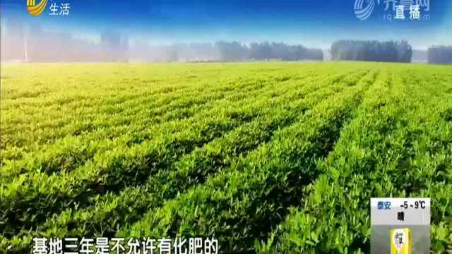 齐鲁粮油“组团”出省 销全国