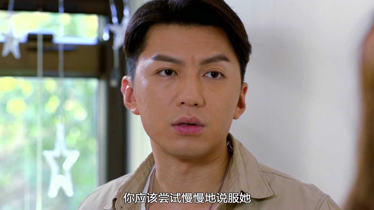 铁探[普通话版] 20集