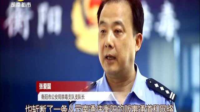 警界:藏在树桩里的罪恶