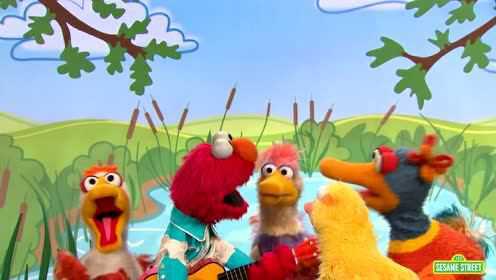 Sesame Street Elmo's Ducks Lyric Video  Elmo's Sing Along Series