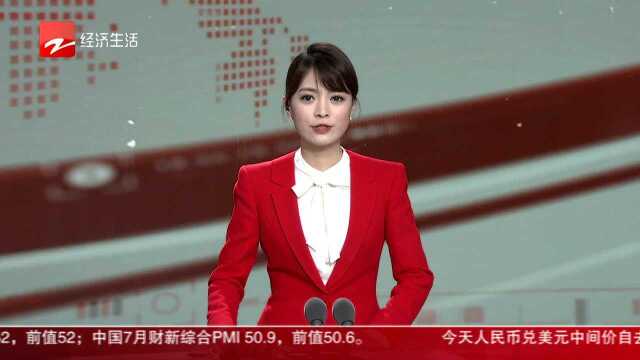 温州:生产总值超6000亿元 竖起民营经济时代标杆