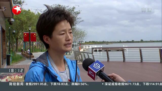 临港一线观察:水上项目产业在滴水湖扬帆起航