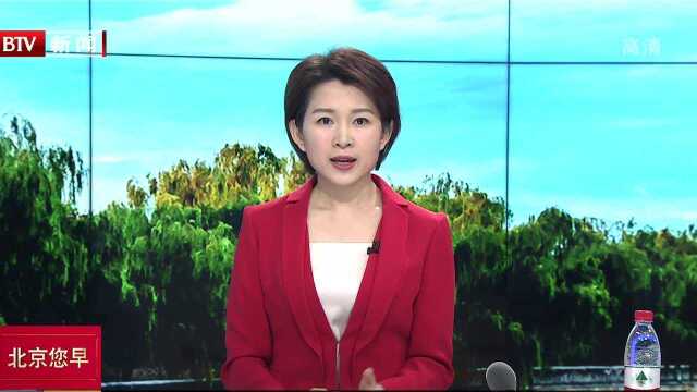 党员先锋岗全力保障世园会交通运行