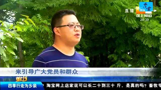 多举措鼓励种植 东坡柑橘再现辉煌