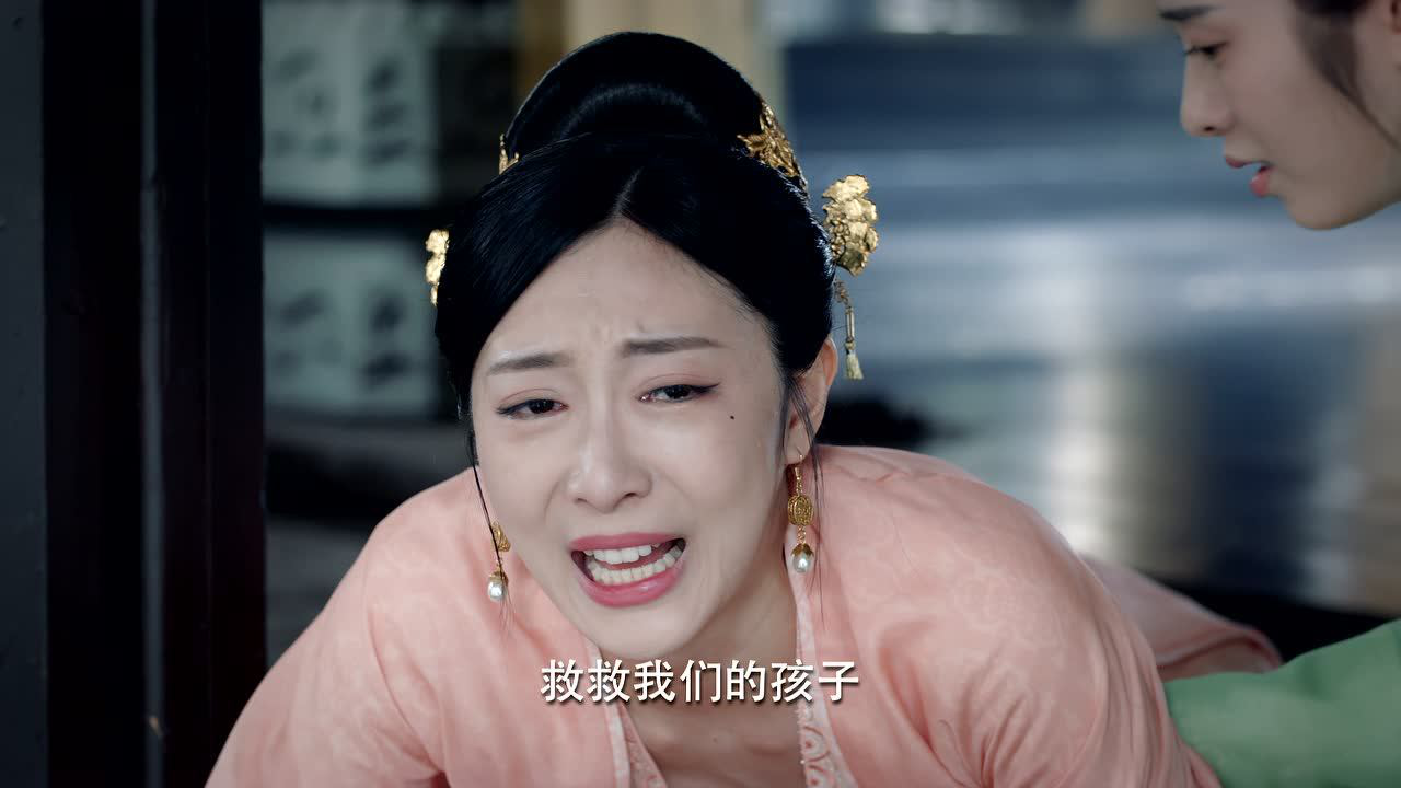 浮世双娇传 28集