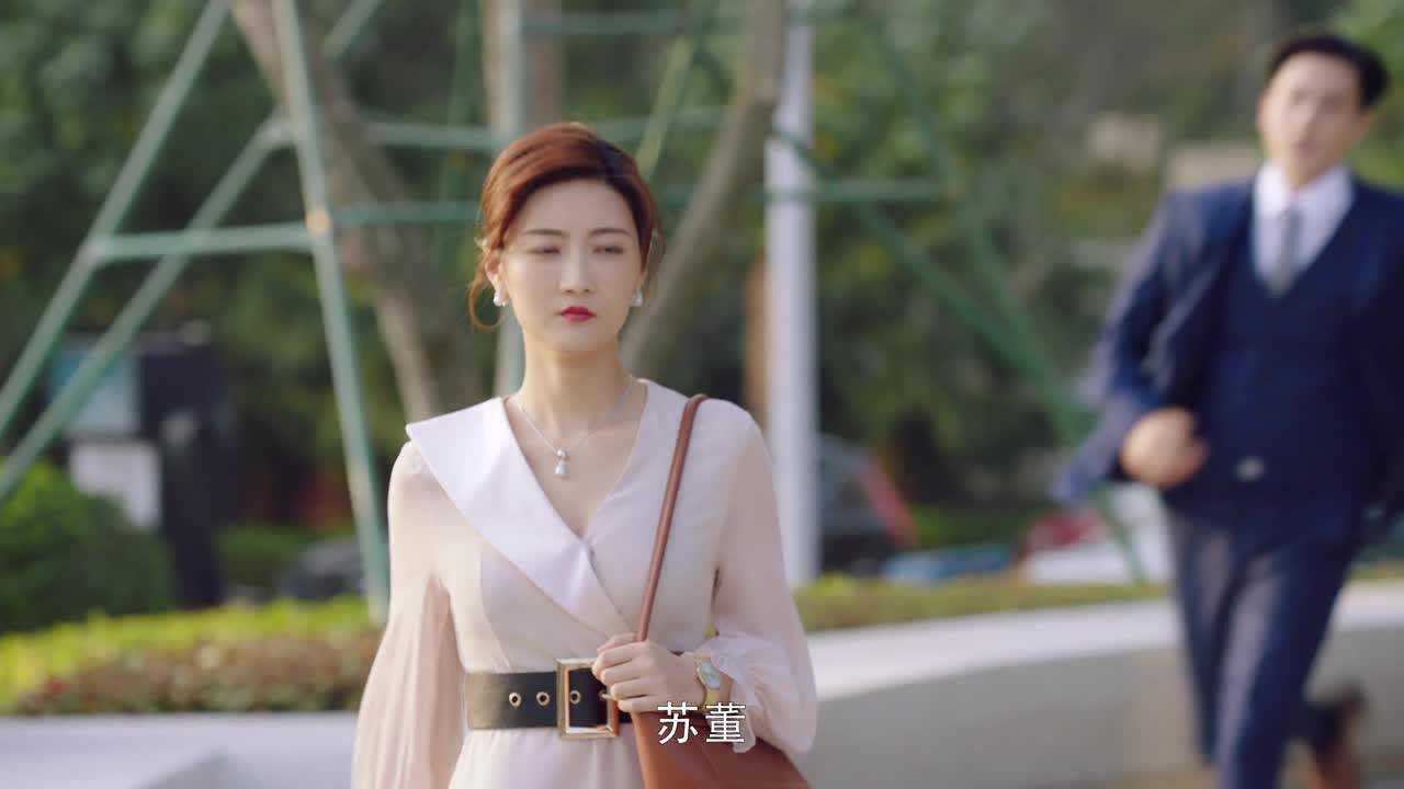 小风暴之时间的玫瑰 13集