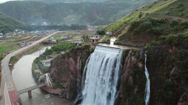 第3集:酸水果视频素材