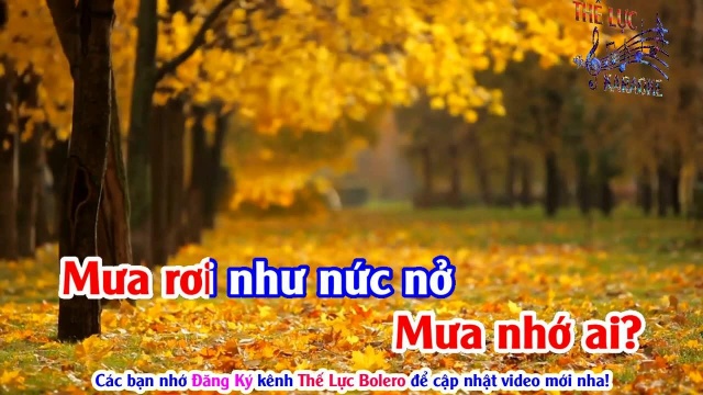 M氡 Rừng  Tone Nữ