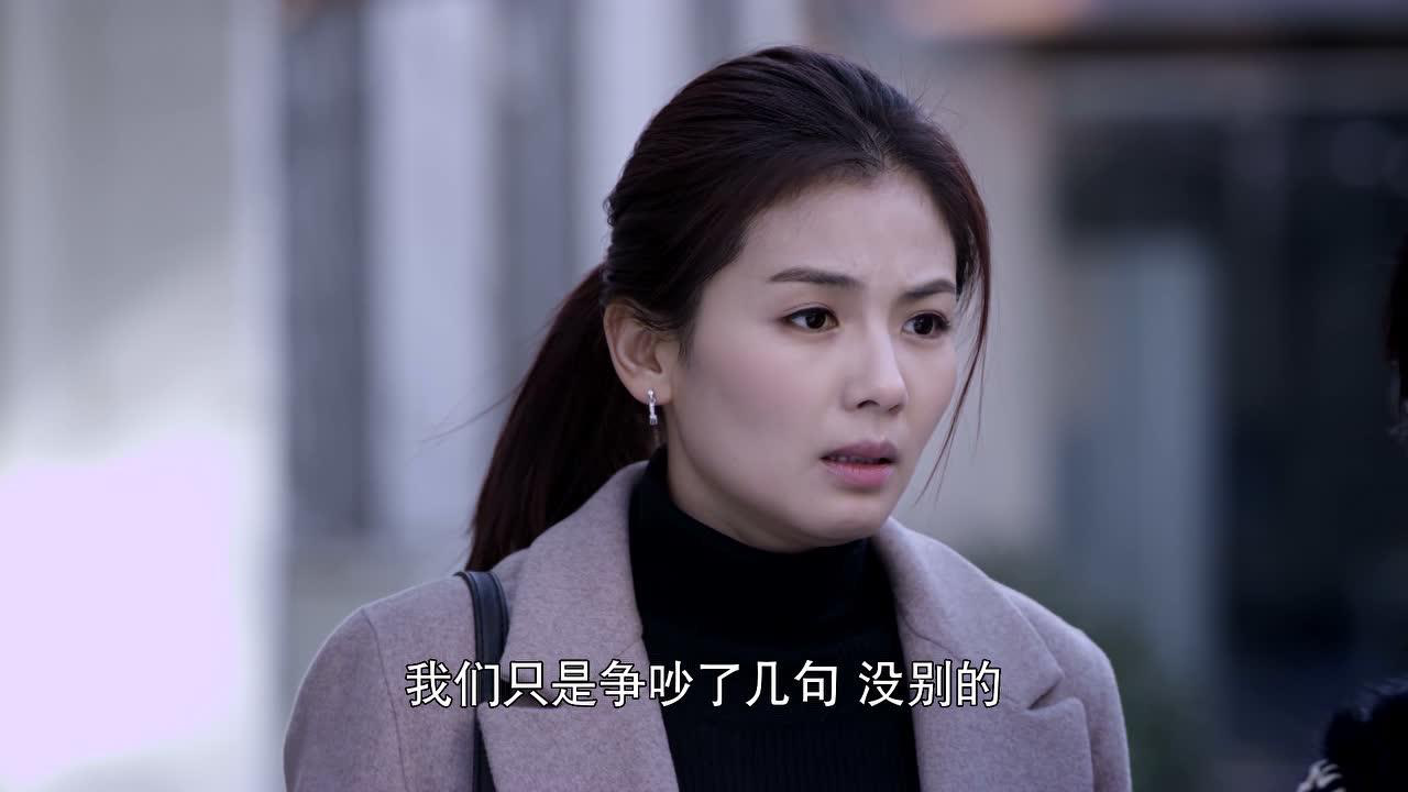 下一站婚姻 31集