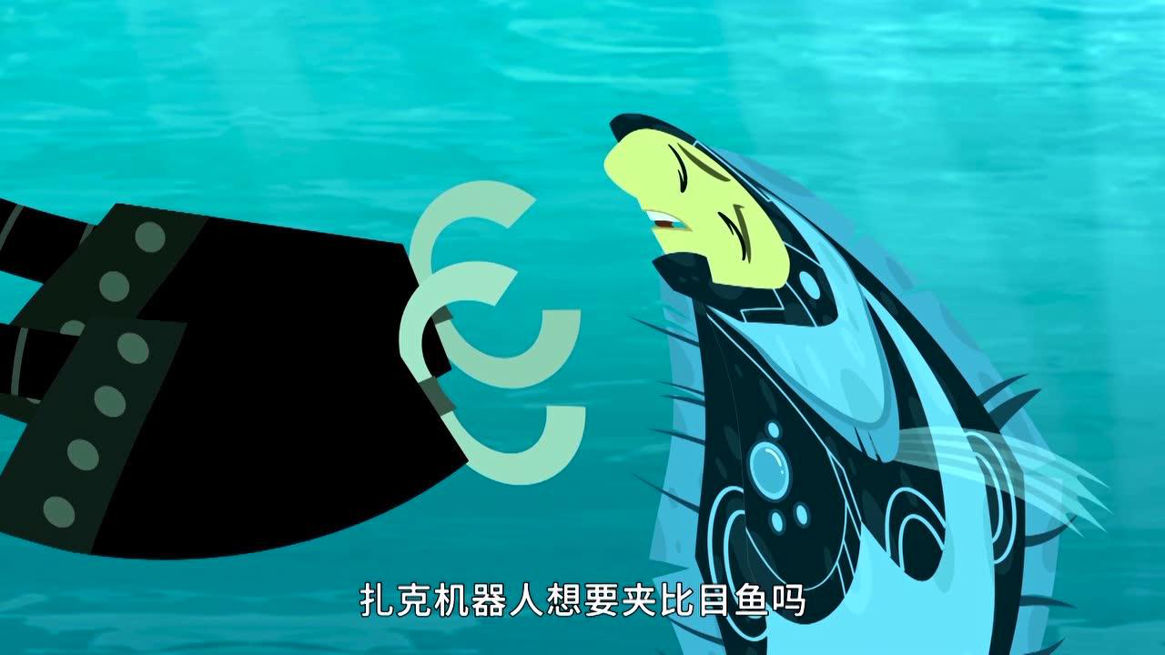 动物兄弟第六季 11集