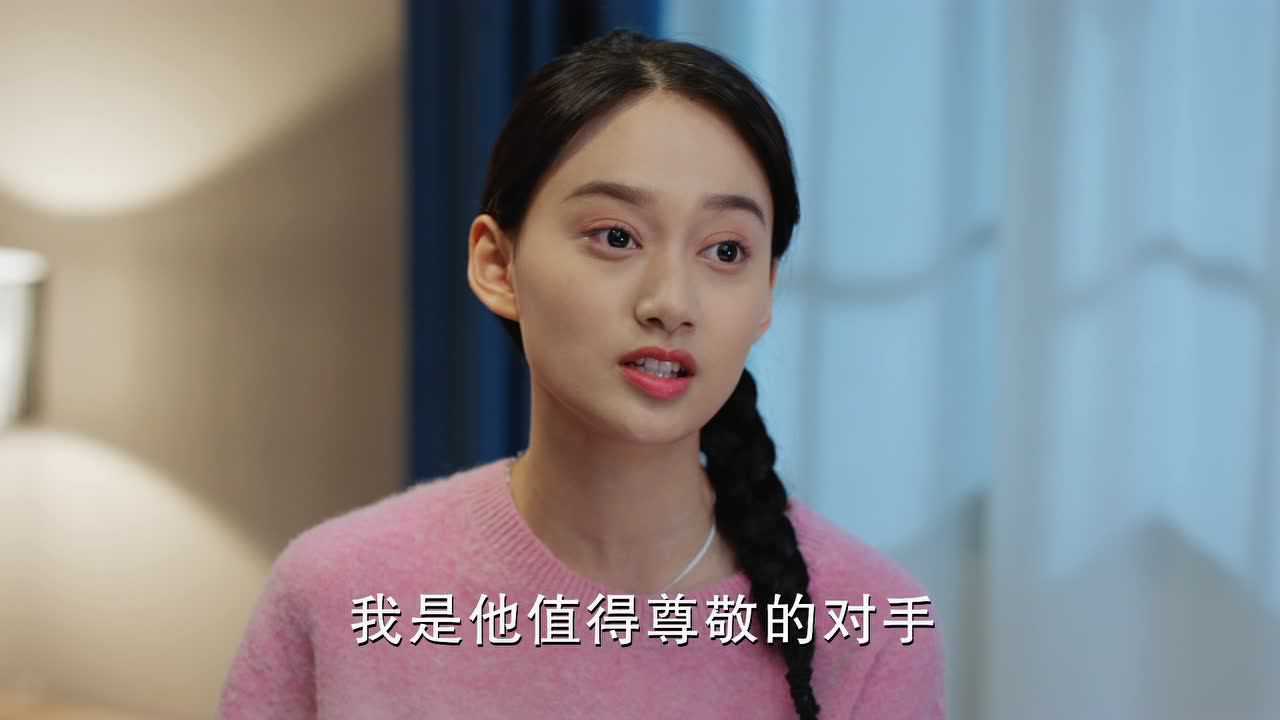 陪你逐风飞翔 28集