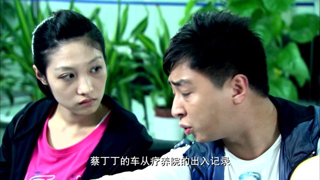 便衣支队 22集