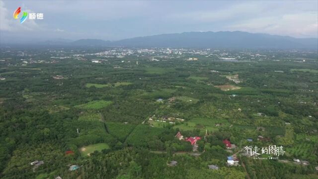 珠宝从哪里来,到哪里去?