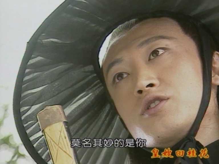 皇嫂田桂花2 6集