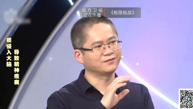 明星组合强势来袭