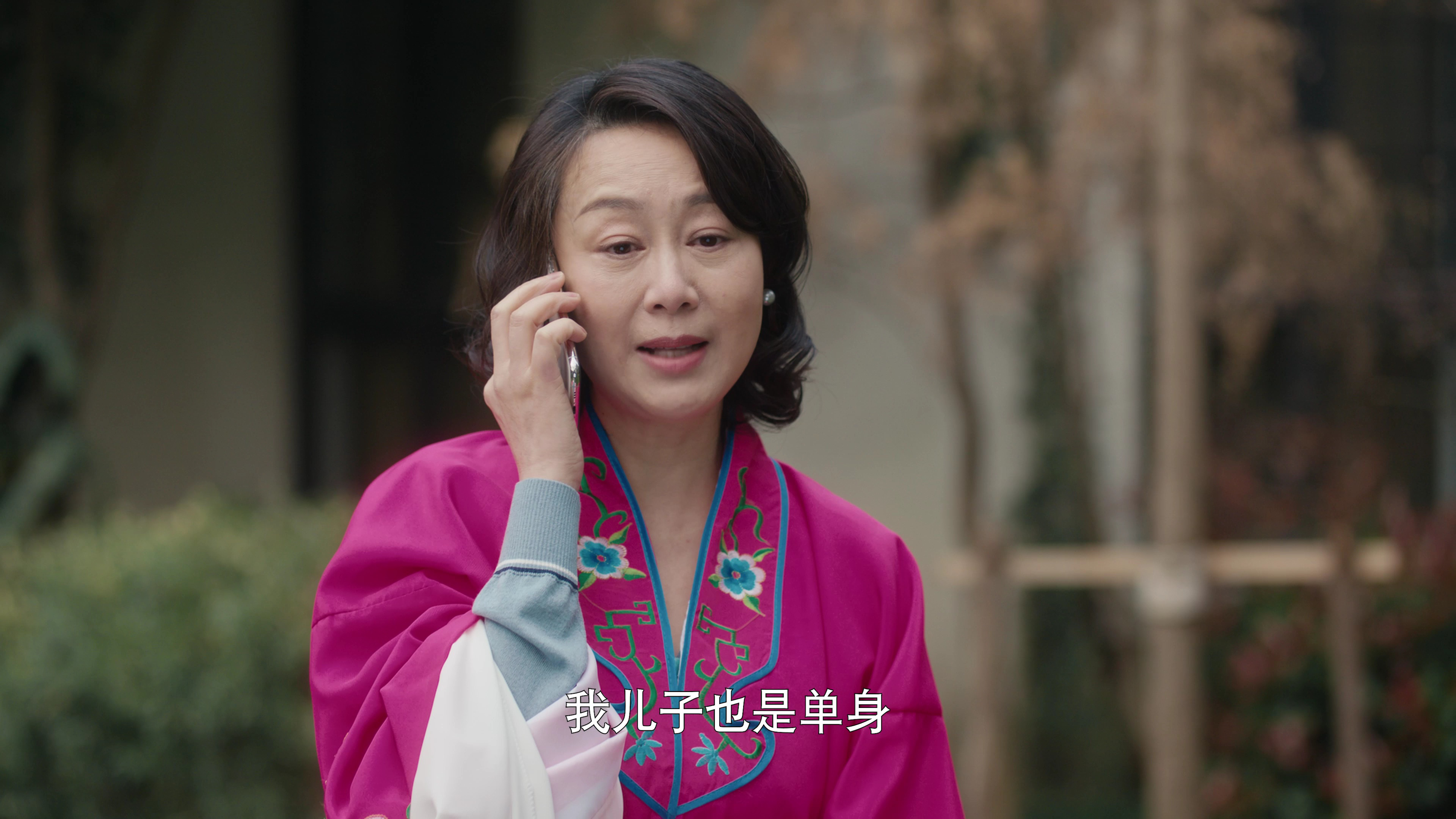 爱的二八定律 13集