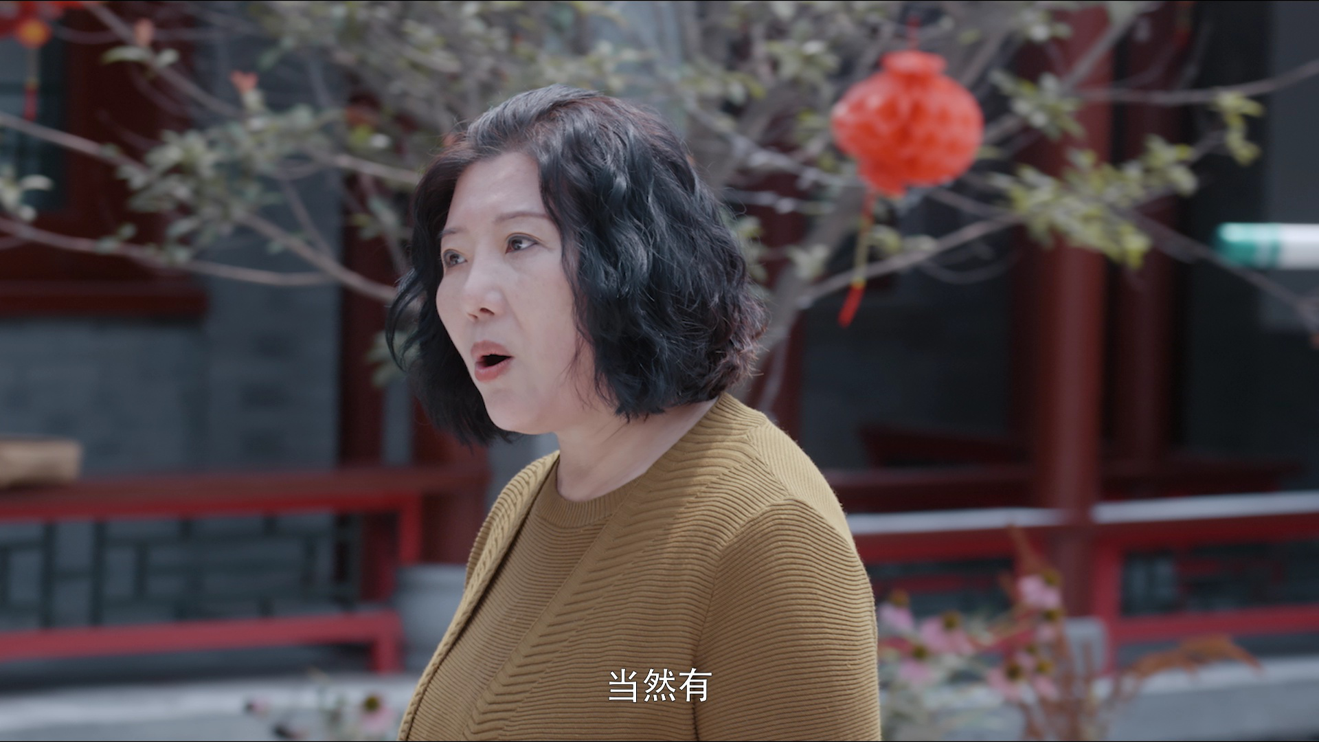 恭喜发财2 20集