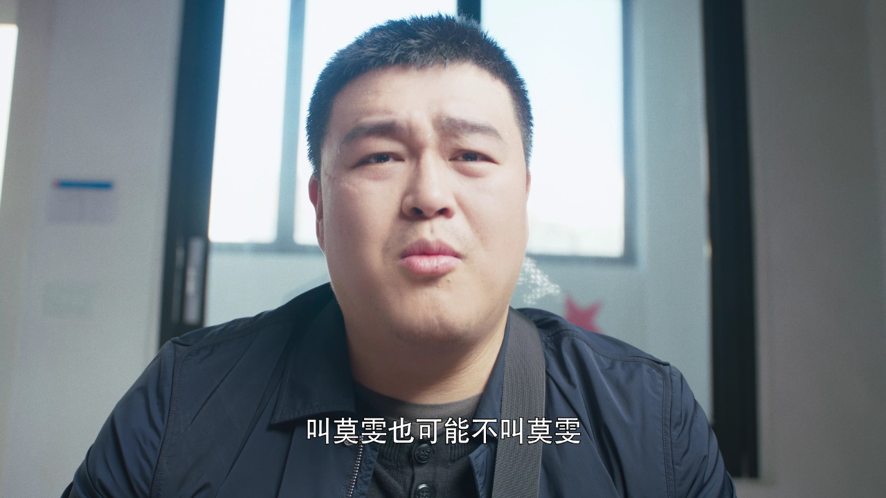 石俊峰办案记 3集