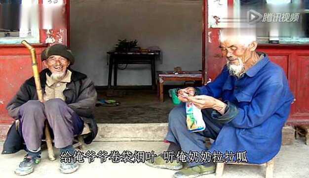 机器灵砍菜刀张卫标清