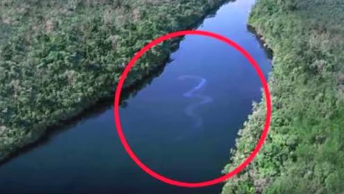 卫星偶然在亚马逊河拍到“巨大蟒蛇” 震惊所有人