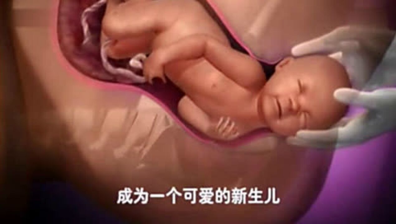 生孩子视频全部过程 顺产视频自然分娩全部过程腾讯视频