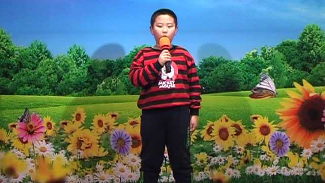 Thumbplayer Poster Plugin Image