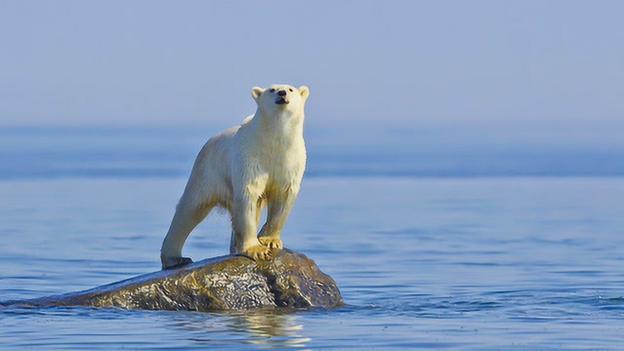 30秒看地球全球变暖的现状_高清