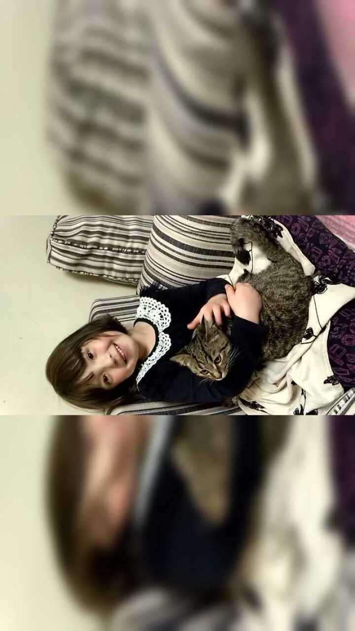 可爱小妹妹调教的猫咪果然很听话_高清