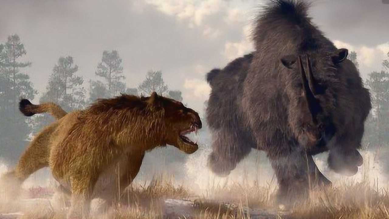 澳洲顶级猎食者:袋狮,有袋类食肉动物_腾讯视频