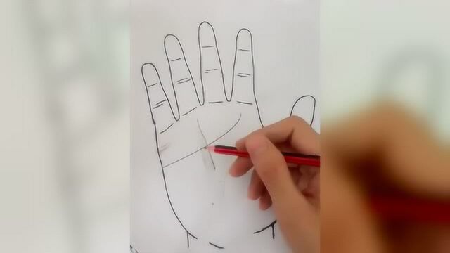 从手相中的太阳线看你一生财富