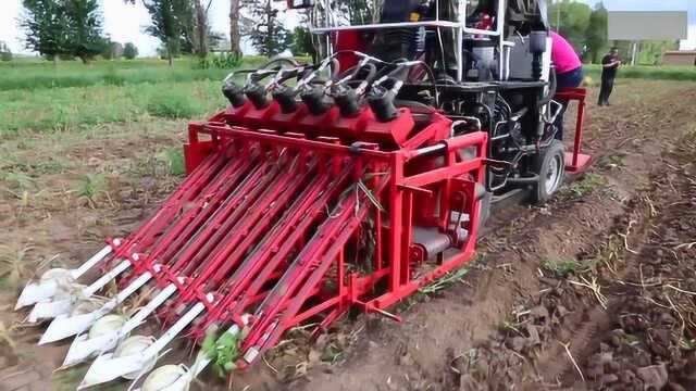 国内发明的新型大蒜收获机,农民的好帮手