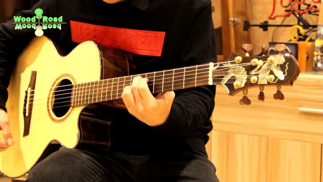 waterroadguitarsdragon水路吉他