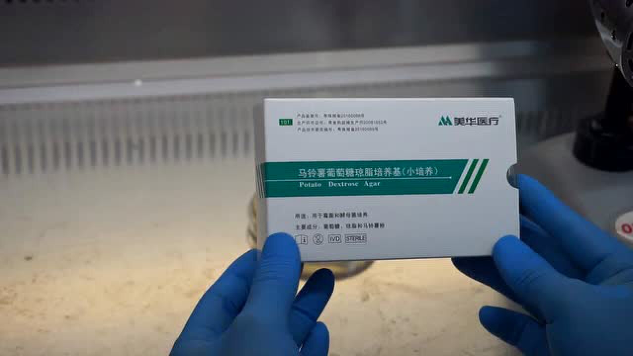 一次性真菌小培养操作视频_高清