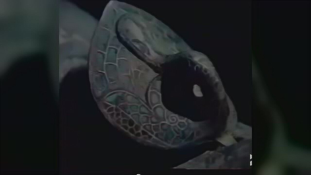 中华历史五千年-春秋战国1_高清
