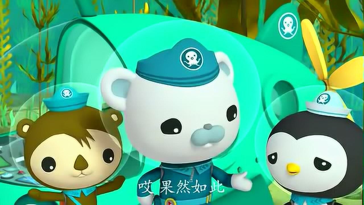 海底小纵队:海鬣蜥吃掉海藻 救出被困的大家