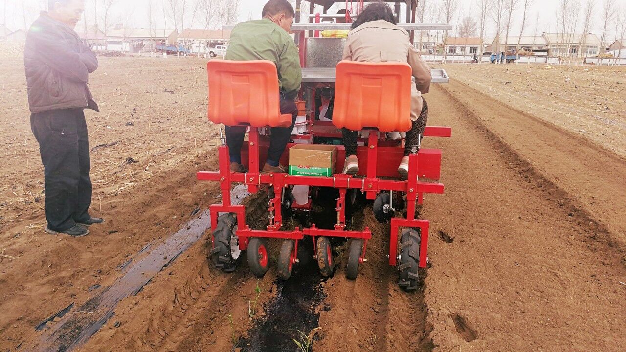 辣椒移栽机 栽苗机