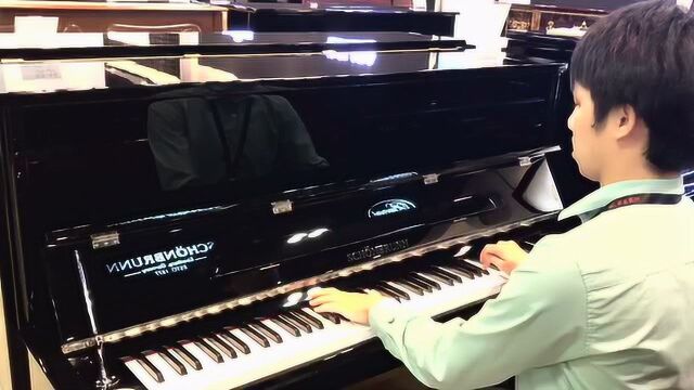 森柏龙钢琴XO-1图片