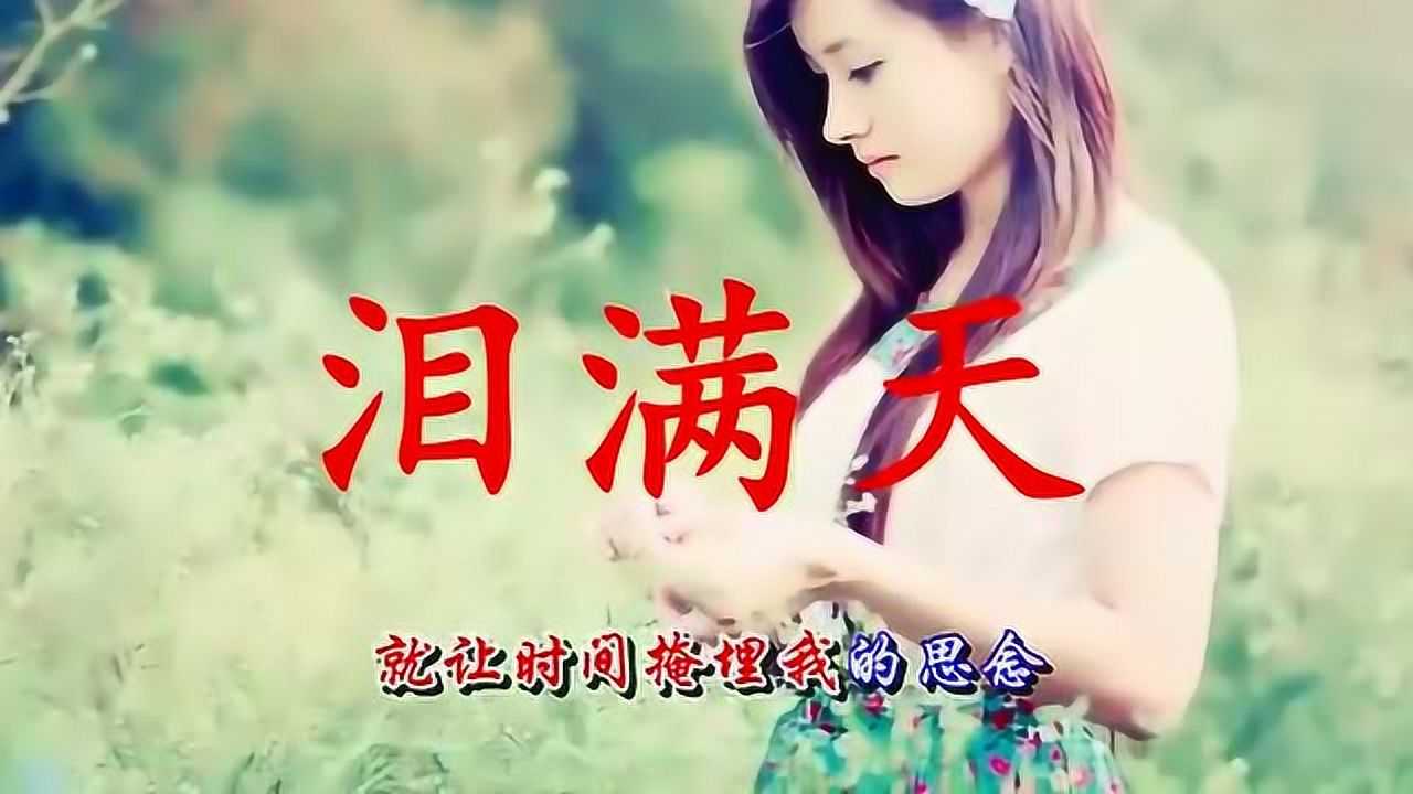一首动听的音乐分享龙梅子泪满天