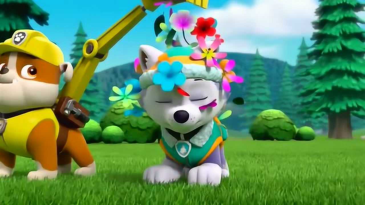 汪汪队立大功美丽的珠珠被臭鼬喷了下汪汪队前来帮忙