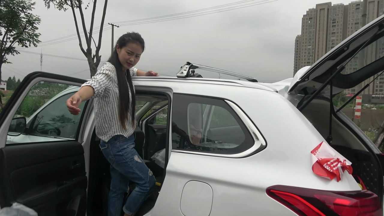 内容简介麦小兜开车去非洲2.