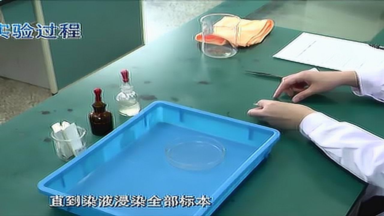 中考生物实验09《制作酵母菌临时装片》_高清1080P在线观看平台_腾讯视频
