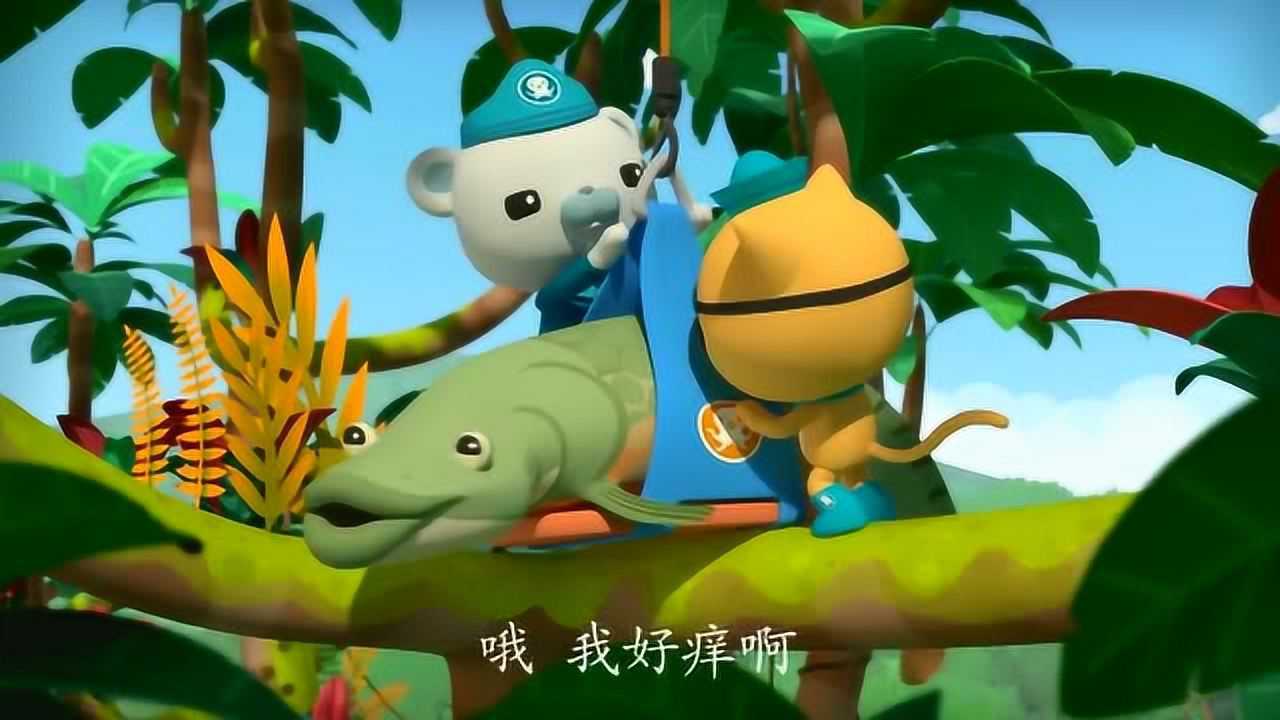 海底小纵队第四季:红树林里所有的小蝌蚪都安然无恙吧