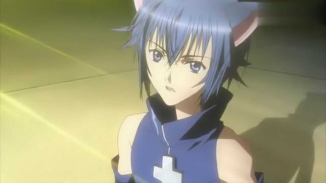 守护甜心亚梦变身amuletdia双马尾的亚梦好可爱